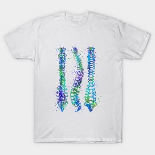 Human Spine Colorful Anatomy Artwork T-Shirt